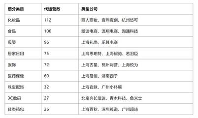 详解电商代运营行业